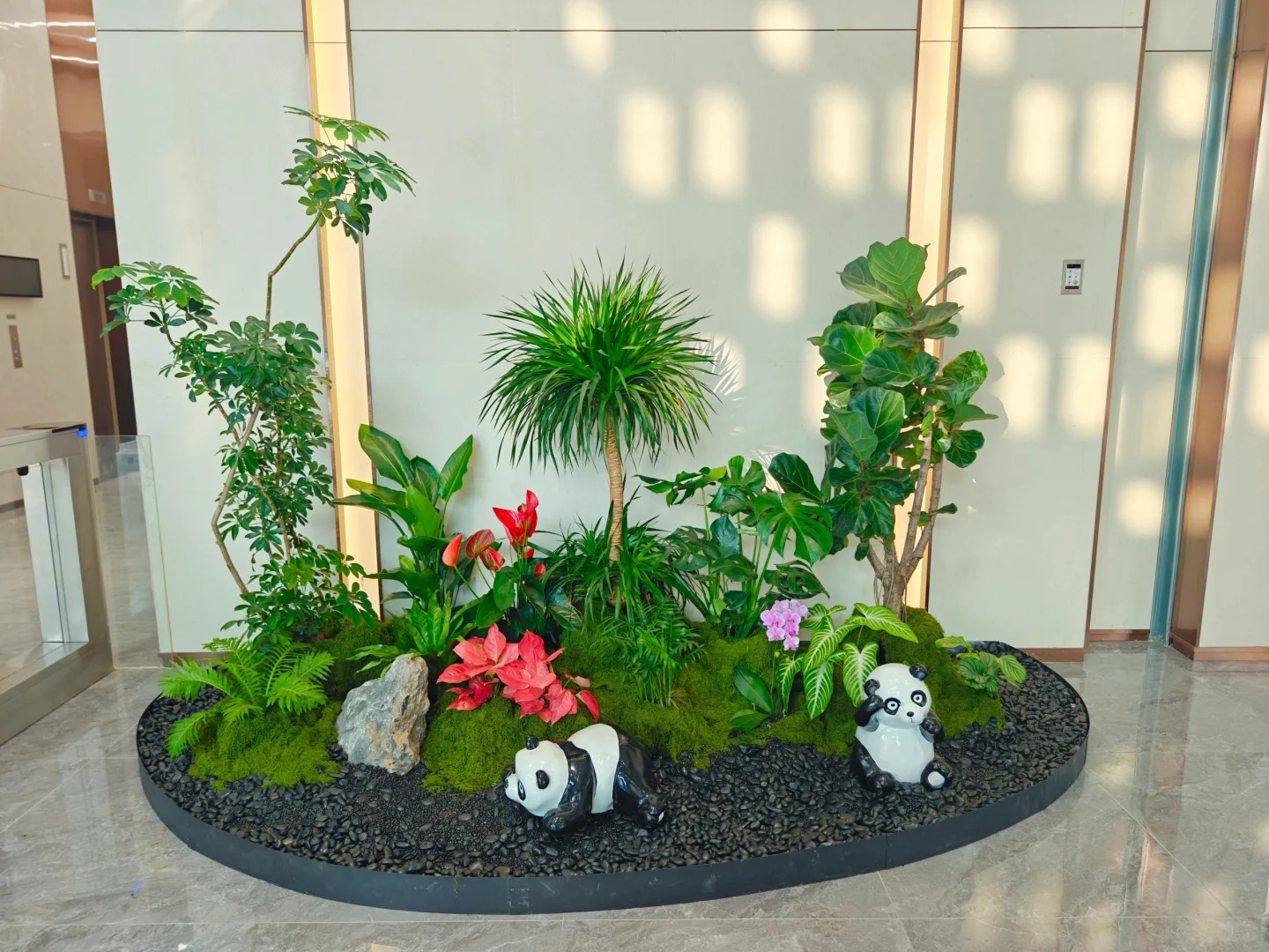专业的鄞州盆景租摆，点亮空间新光彩！